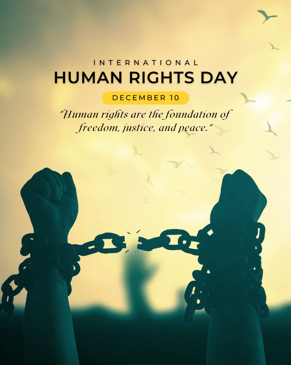 Human Rights Day