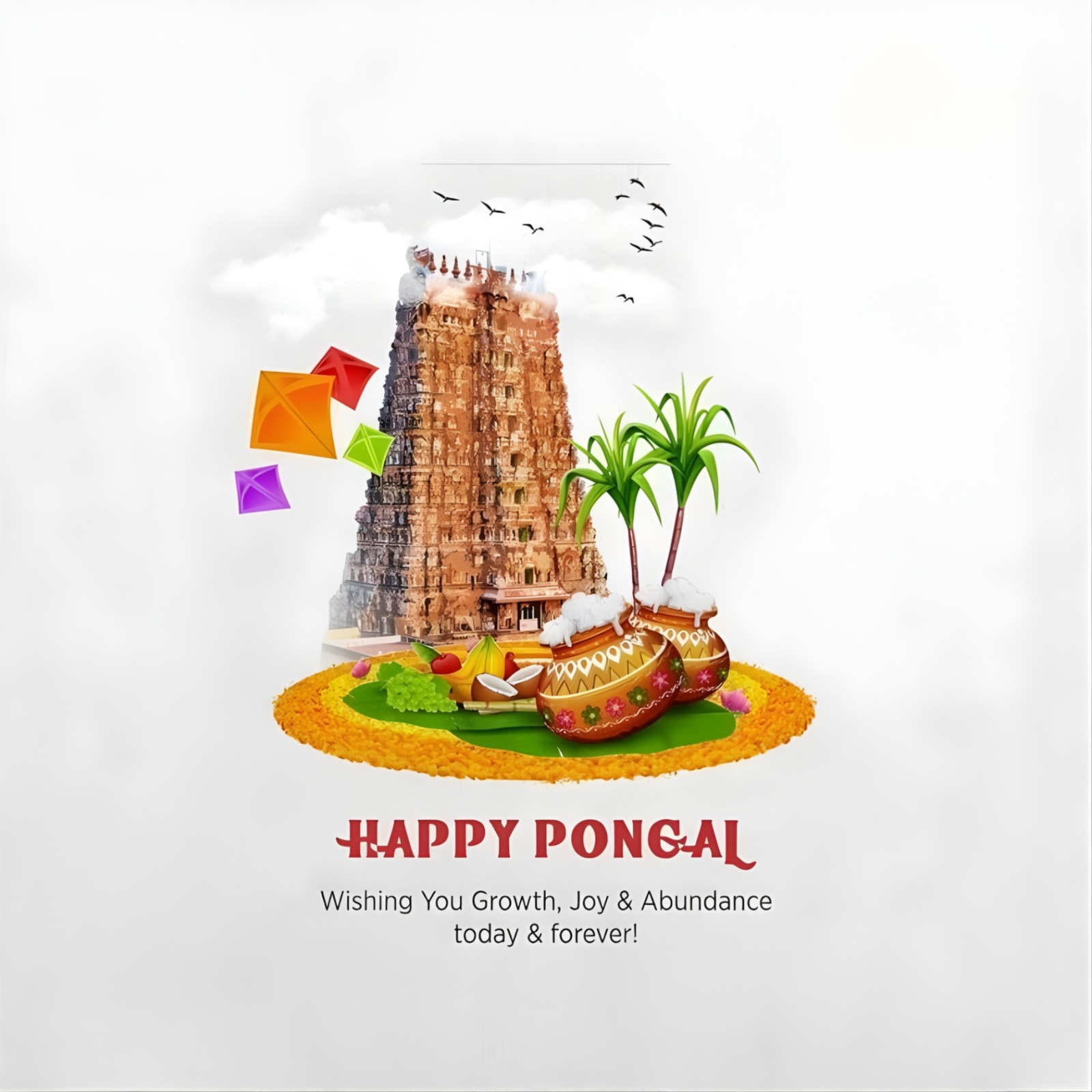 Pongal
